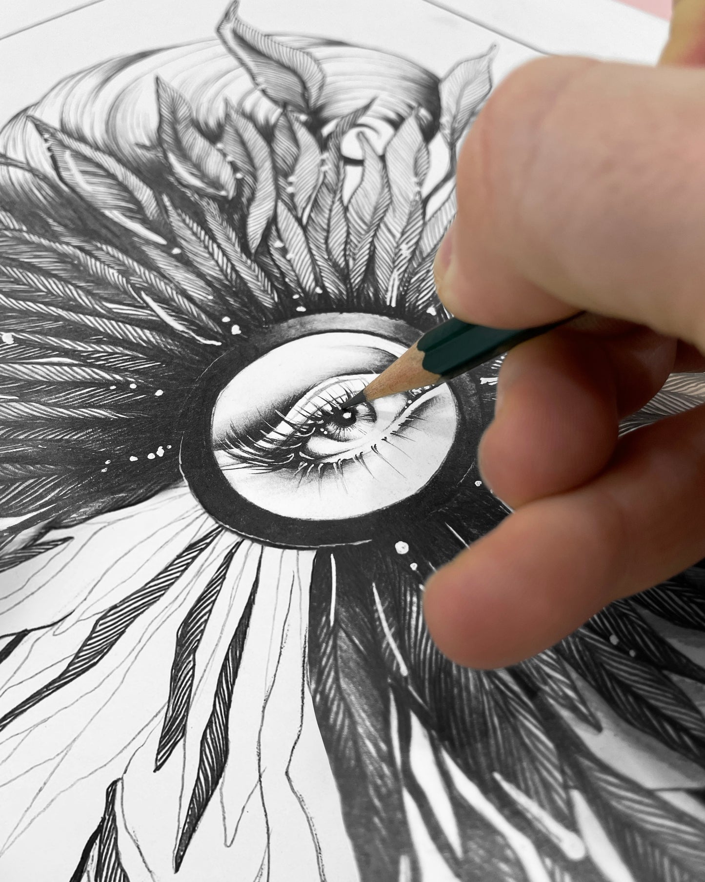 Area Feather Eye